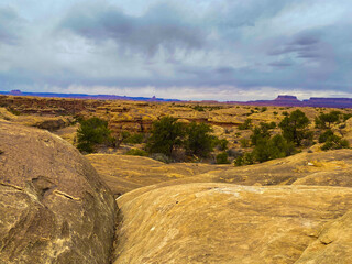 Poster - Yellow rocky dessert with plants under a cloudy sky