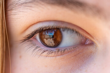 detail of a girl's brown eye with reflection, eyelashes, eyebrow and blonde hair.