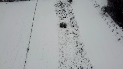 Poster - A beautiful aerial view of the plants, trees and the ground covered in snow in HD