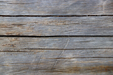 wood tree timber background texture structure backdrop