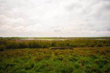 Poster - Horizontal image of a field against a white sky