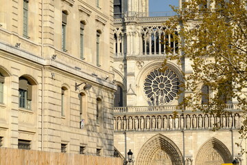 Wall Mural - A close up on Notre Dame de Paris during its reconstruction. The 14th April 2021, Paris center France.