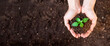 World environment day concept: Human hands holding seed tree with soil on blurred agriculture field background