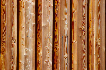 wood tree timber background texture structure backdrop