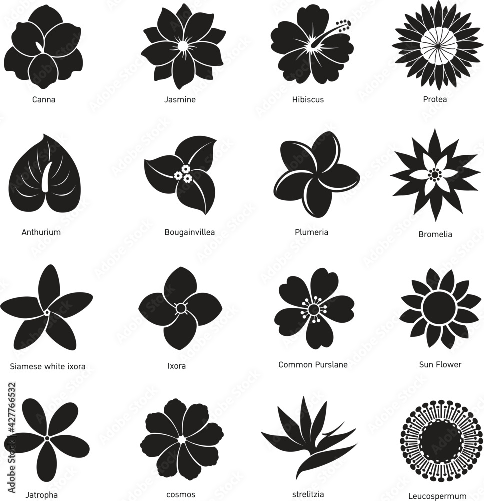 flower icon isolated on white background vector illustration. Stock ...