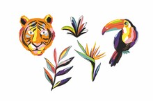 Hand Drawn Art Print With Exotic Tropical Toucan And Tiger