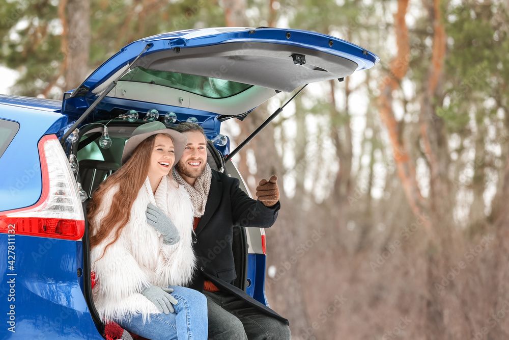 Happy young couple near car on winter day