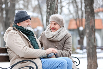 Poster - Happy mature couple sitting in park on winter day