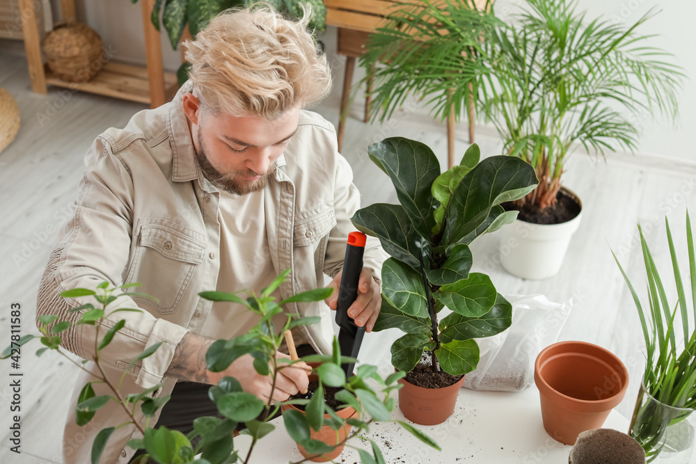 Young man taking care of plants at home