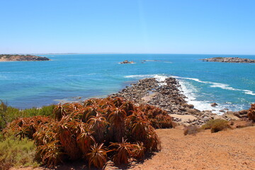 Sticker - sea and rocks South Australia