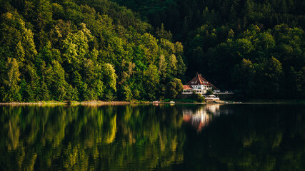 Canvas Print - Glorious landscape of a lakehouse in a thick forest reflecting in the water