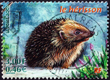 Postage Stamp France 2001 Common Hedgehog, Animal