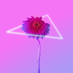 Minimal retro wave concept of daisy flower. Futuristic neon background.