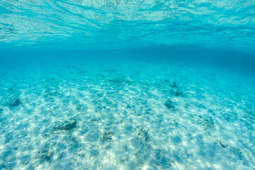 Underwater of tropical; sun rays passing through water.