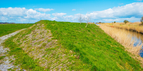 Wall Mural - Dikes in a green grassy field below a blue cloudy sky in sunlight in spring, Almere, Flevoland, The Netherlands, April 13, 2021