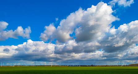 Wall Mural - Grey white cumulus clouds in a blue sky in bright sunlight in spring, Almere, Flevoland, The Netherlands, April 13, 2021