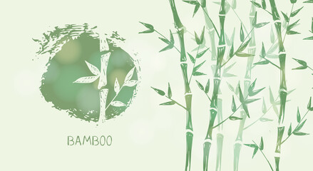 Bamboo tree. Hand drawn style. Vector illustrations.	
