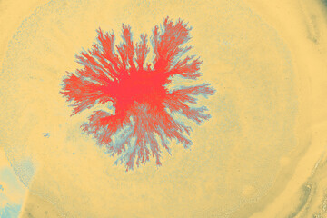 Watercolor painting with a red pattern on yellow for abstract backgrounds