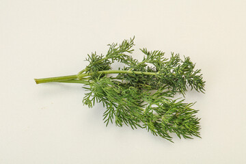 Aroma seasoning - Green Dill branch