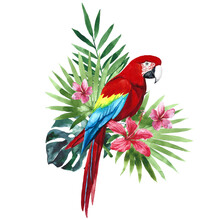 Watercolor Ara Macao, Scarlet Macaw, South American Parrot With Tropical Palm Leaves And Flowers. Hand Drawn Illustration, Clip Art Isolated On White Background