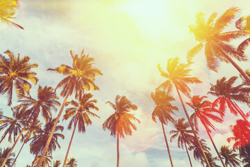 Wall Mural - tropical palm tree with sun light on sunset sky and cloud with colorful bokeh abstract background.