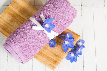 Canvas Print - Towel