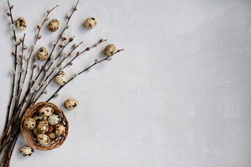 Layout of willow twigs and quail eggs in a nest on a white background, top view. Easter concept