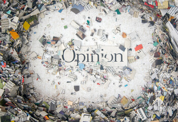 Opinion on a bed of cut up Newspaper