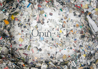 Opinion on a bed of cut up Newspaper.