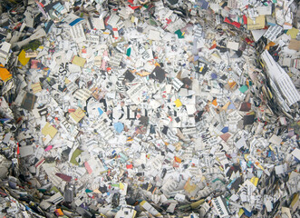 Opinion on a bed of cut up Newspaper.