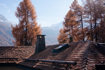 Poster - Roof of a rural house in beautiful autumnal nature during daylight