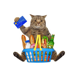 Wall Mural - A beige cat sits with a shopping basket with food and a credit card. White background. Isolated.