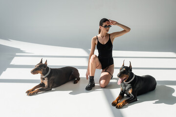 woman in bodysuit and sunglasses looking away near dobermans on grey background with shadows