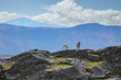 Reindeer in mountains,Seterfjellet,Helgeland,Nordland county,Norway,scandinavia,Europe 
