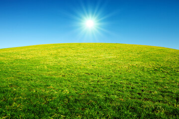 Wall Mural - spring landscape background with bright sun and green grass field.