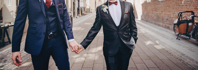 Homosexual newlyweds celebrating happy wedding day wearing black and blue suits.