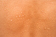 Water drops on the woman back skin. Human skin and sweat. Close up of wet skin.