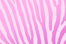 Zebra Stripes, Animal Skin, Abstract Illustration, Pink Background, Poster, Banner