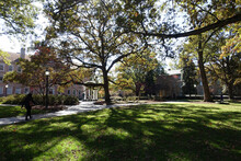University Of North Carolina's Quad In Chapel Hill, NC