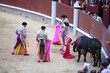 © Azort - Descabello. Torero enfrontilado con estoque, preparado para realizar la suerte suprema al toro en plaza de toros en Madrid
