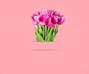 Poster - Tulip.