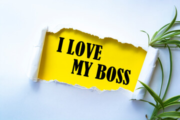 Wall Mural - Text sign showing I love my boss
