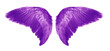 Purple Angel wings an isolated on white background