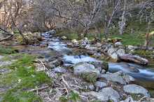 View Of A Small Stream With A Rocky Shoreline, Flowing Through A Mountain Forest In Early Spring