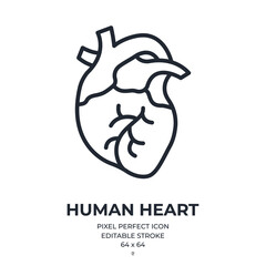 Wall Mural - human heart editable stroke outline icon isolated on white background flat vector illustration. pixe