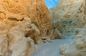 Wall Mural - canyon of the OG riverbed at dawn