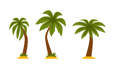 Wall Mural - Palm Tree as Tropical Plant with Trunk Rested on Sand Vector Set