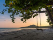 silhouette photography of beach cradle on tree against beautiful sun set lighting