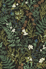 Botanical Seamless Pattern. Vintage.
