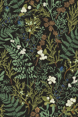 Botanical seamless pattern. Vintage.